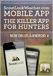 New Scoutlook Weather App